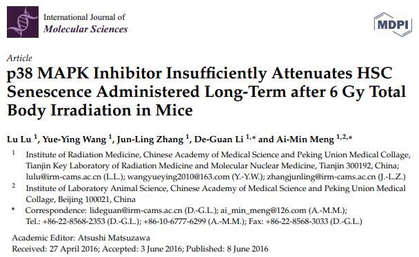 p38 MAPK Inhibitor Insufficiently Attenuates HSC Senescence Administered Long-Term after 6 Gy Total Body Irradiation in Mice