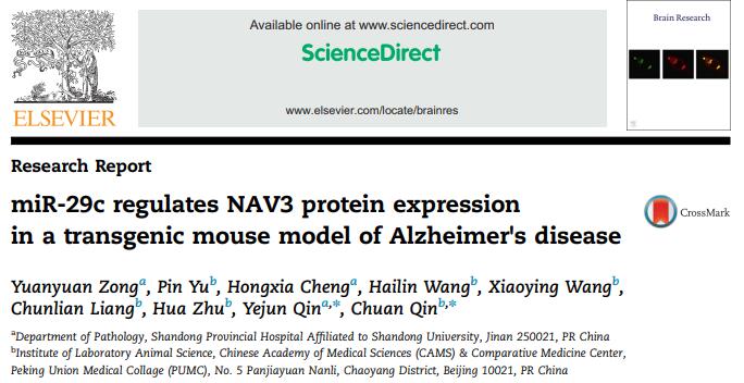 miR-29c regulates NAV3 protein expression in a transgenic mouse model of Alzheimer׳s disease