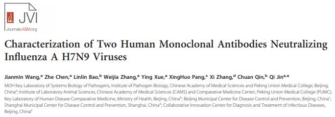 Characterization of Two Human Monoclonal Antibodies Neutralizing Influenza A H7N9 Viruses