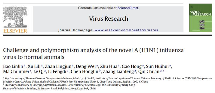 Challenge and polymorphism analysis of the novel A (H1N1) influenza virus to normal animals.