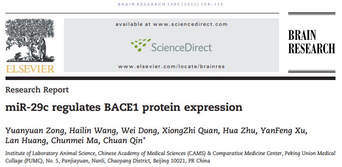 miR-29c regulates BACE1 protein expression.